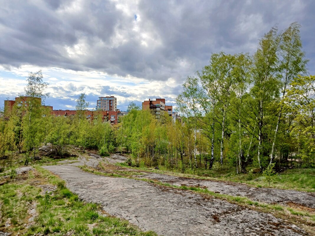 Типичный вид — выход батолита на земную поверхность. Батарейная гора. - Лия ☼ Типичный вид — выход батолита на земную поверхность. Батарейная гора. - Лия ☼