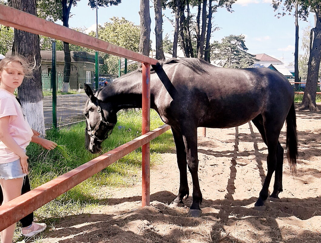 *** - Владимир Захаров