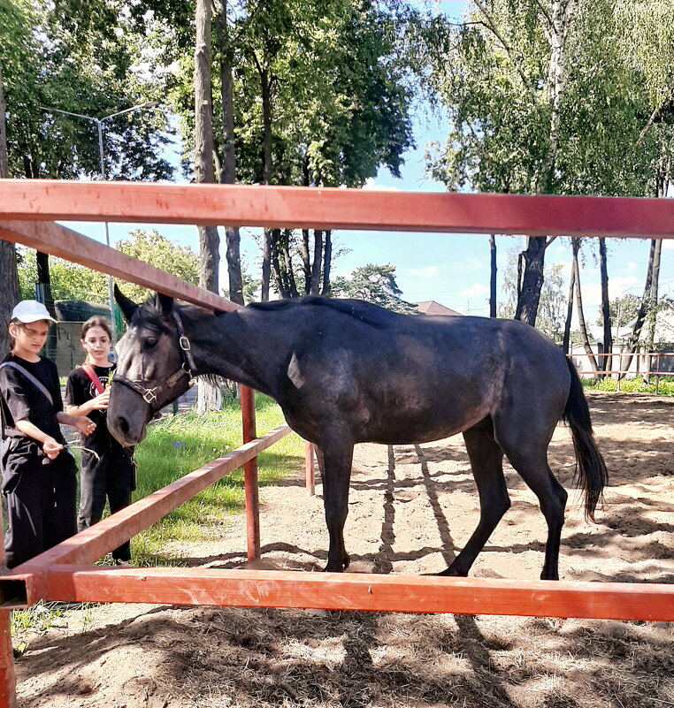 *** - Владимир Захаров