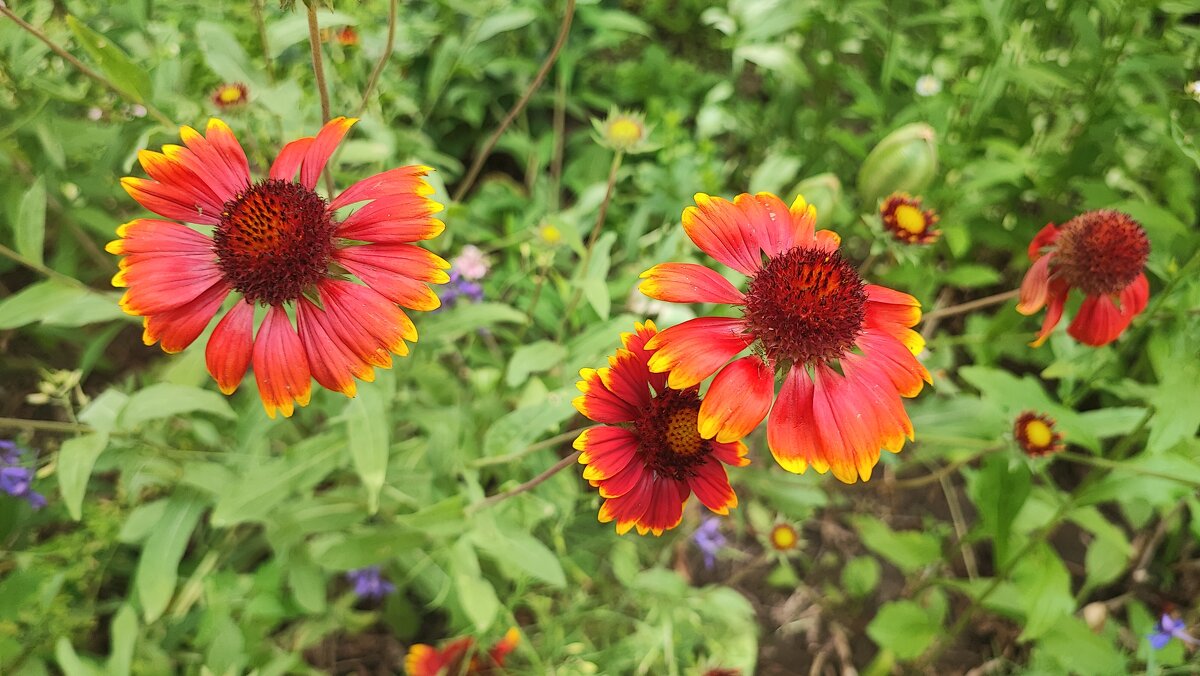 ,,, - Сергей Тимоновский