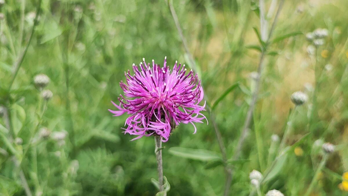 ,,, - Сергей Тимоновский