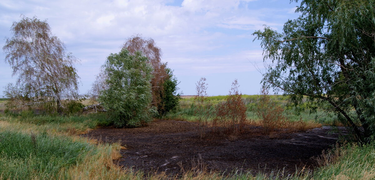 Губится природа. - сергей ермошкин