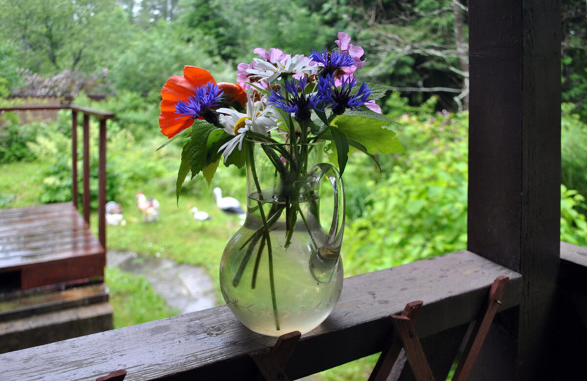 Дожди - не повод унывать! - AleksSPb Лесниченко