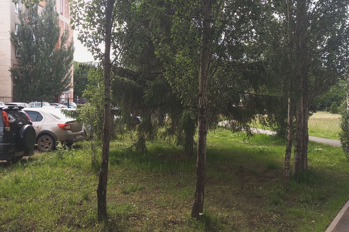 Врата в лето. - Игорь Солдаткин