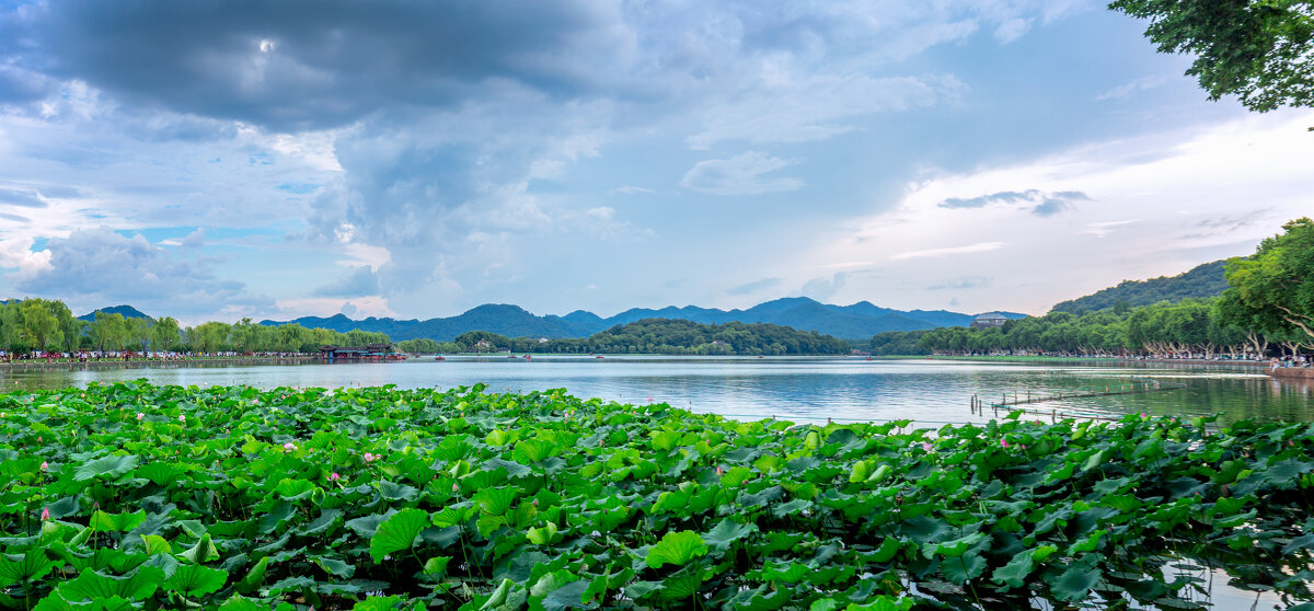 Летняя панорама озера Сиху в Ханчжоу - Дмитрий 