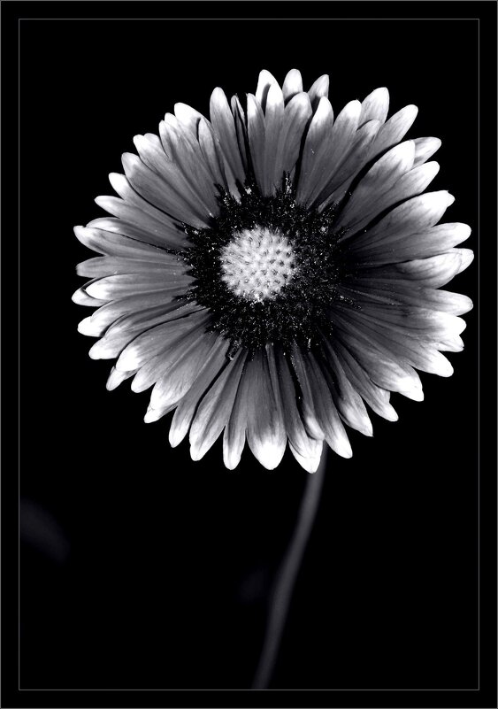 ... - Юрий Ковшов