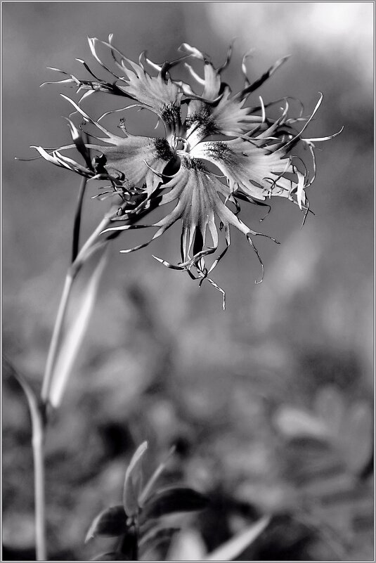 ... - Юрий Ковшов