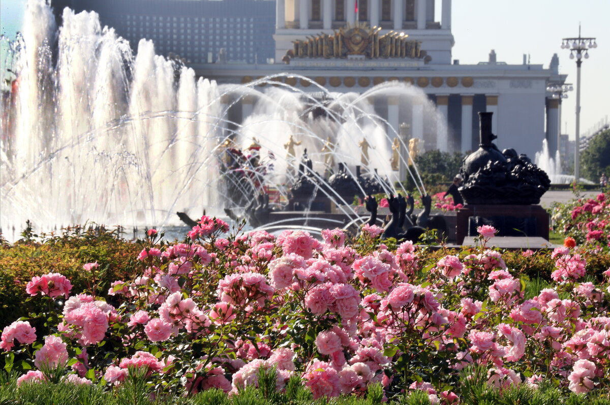 ВДНХ 10 июля - Михаил Бибичков