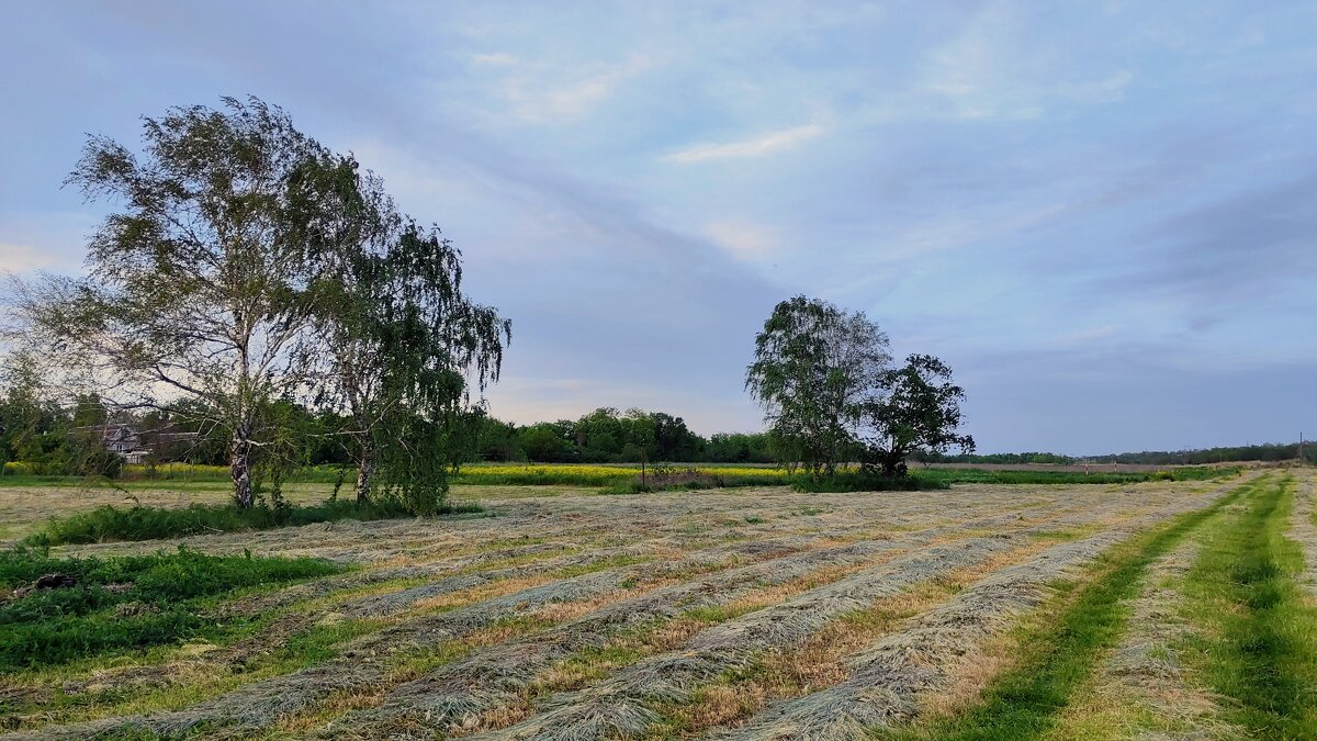 "Родная речь" - Александр Кондаков