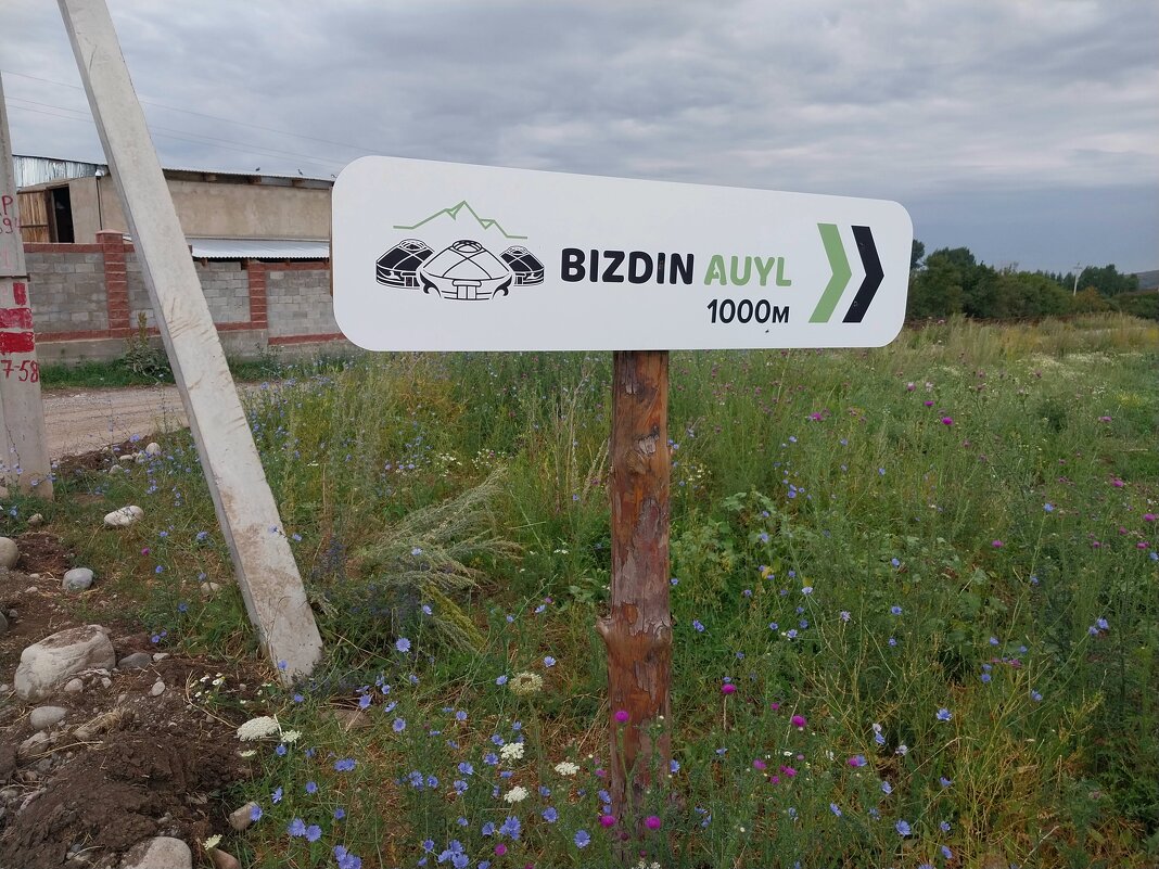 Ak Bulak.  Talgar. - Murat Bukaev 