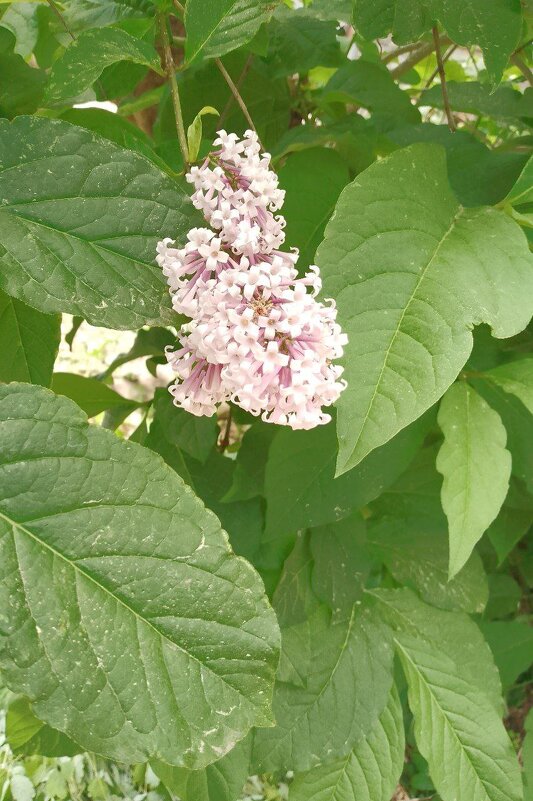 лето 2025 - Анастасия Малыгина