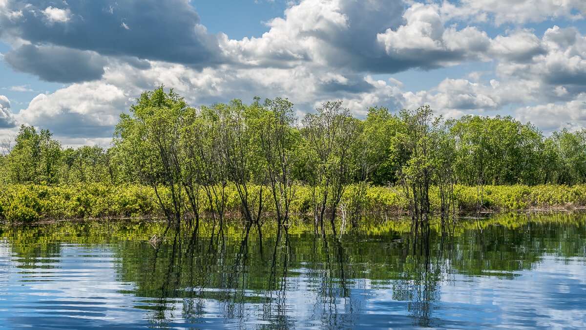 ... - Жора Житников ... - Жора Житников
