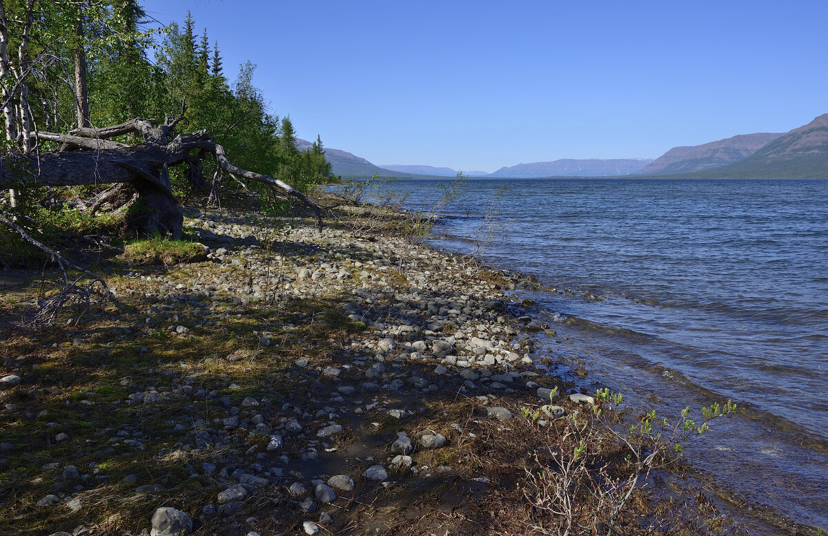 Озеро Собачье - Александр Хаецкий