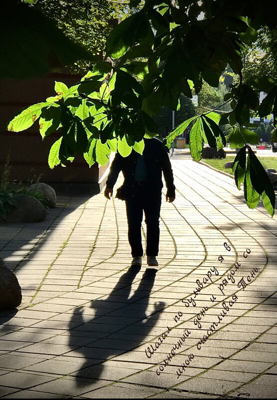 Шагающая тень… - Любовь 