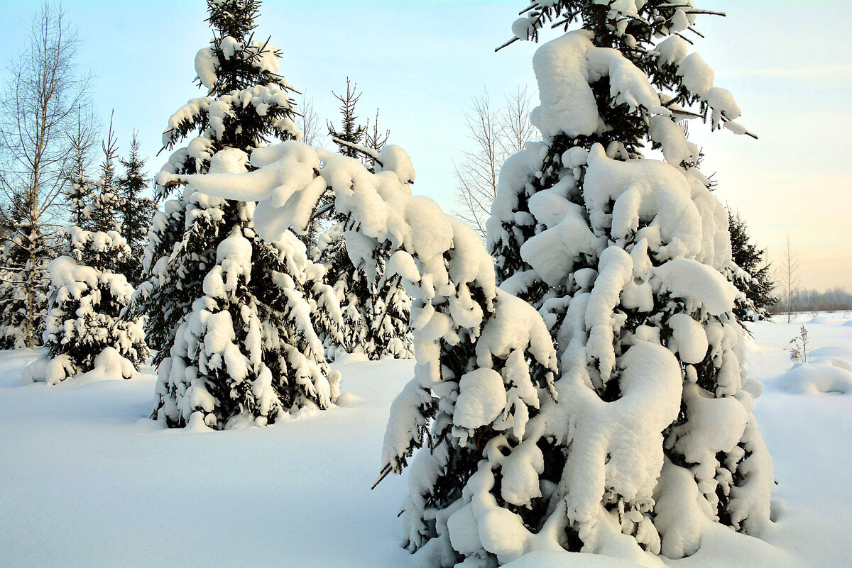 Зимний этюд - Михаил Белоусов