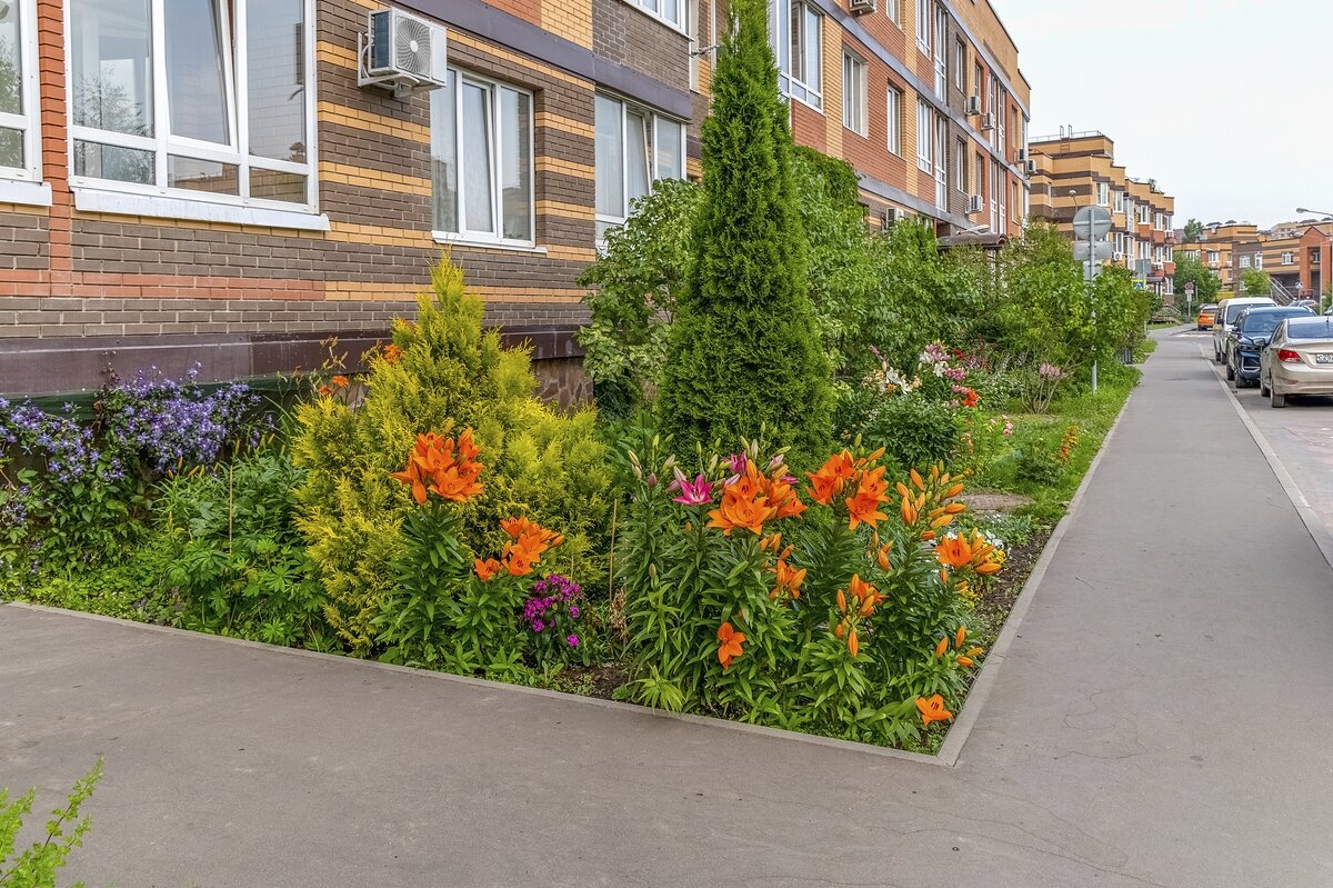 Красивый палисадник на улице Потаповская роща - Валерий Иванович