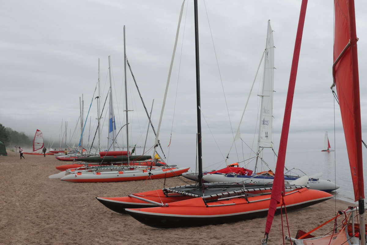 На берегу - Максим Егоров