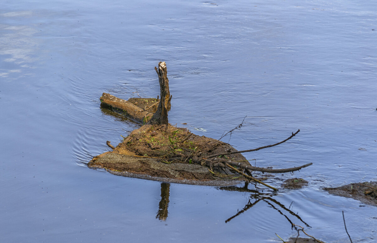 Островок - Сергей Цветков Островок - Сергей Цветков