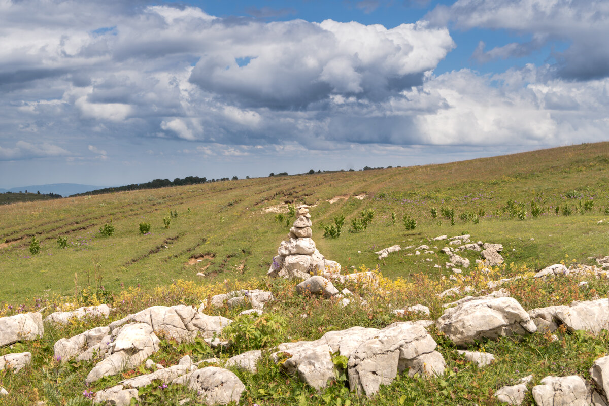 Лагонаки июль 2024 - Игорь Сикорский Лагонаки июль 2024 - Игорь Сикорский
