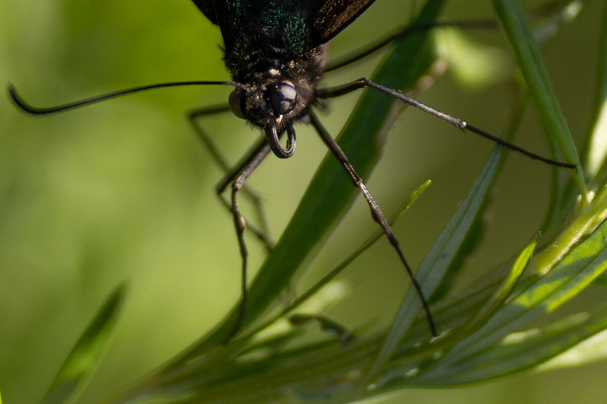 3 - Сергей Флетчер