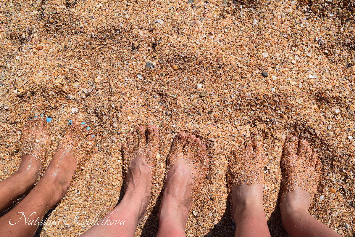 Природа Крыма - Amazing Cosmea