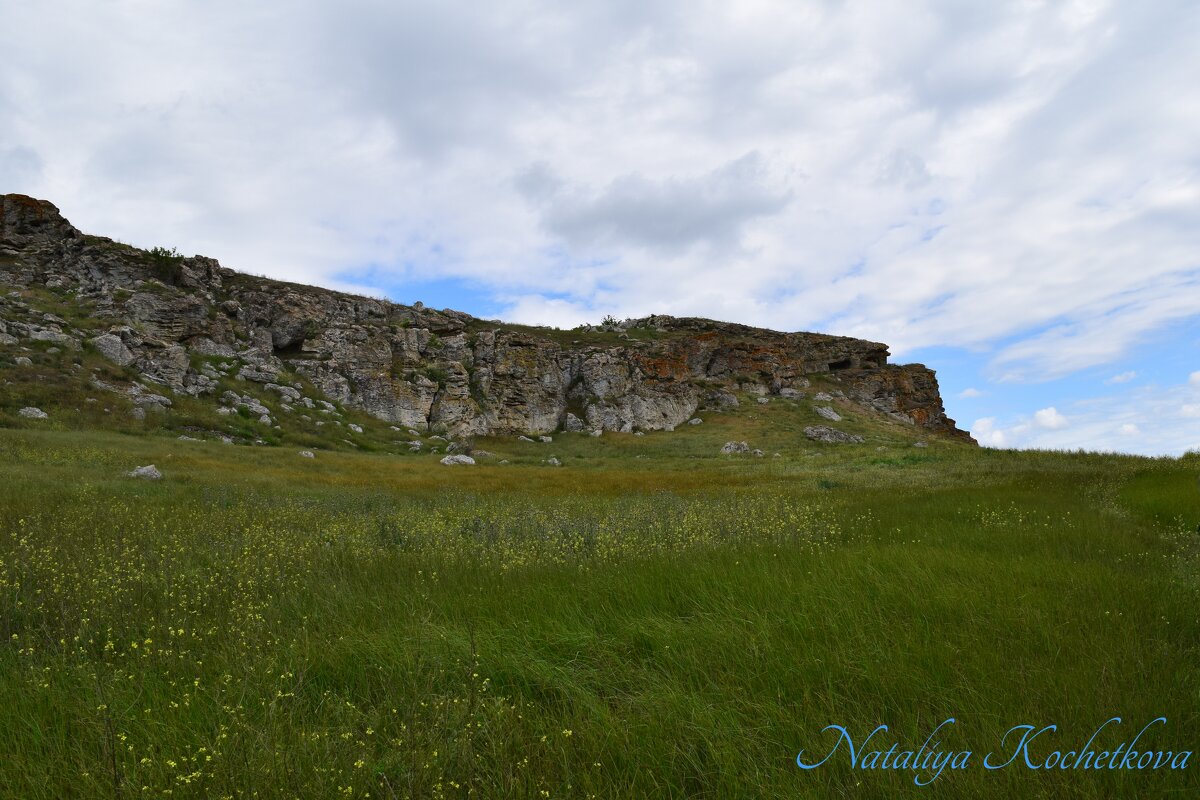 Природа Крыма - Amazing Cosmea
