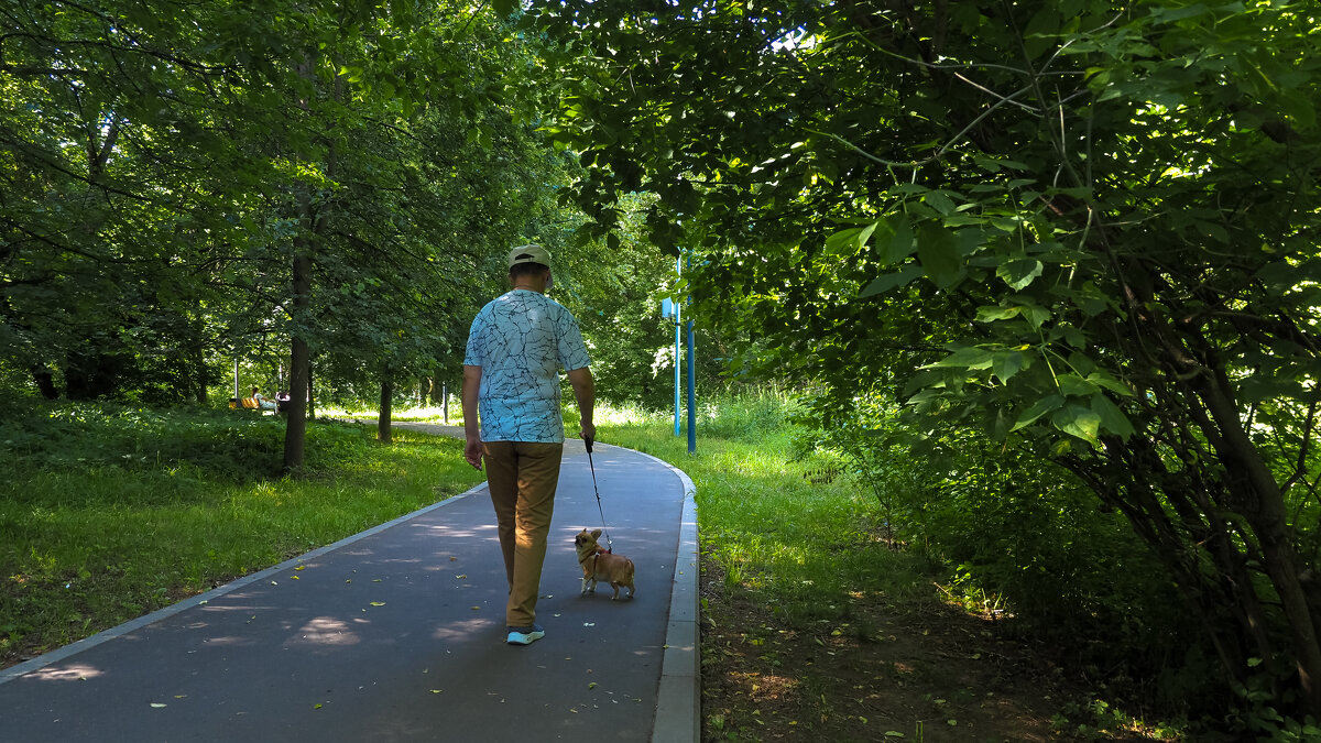 Утро в Летнем Парке - юрий поляков