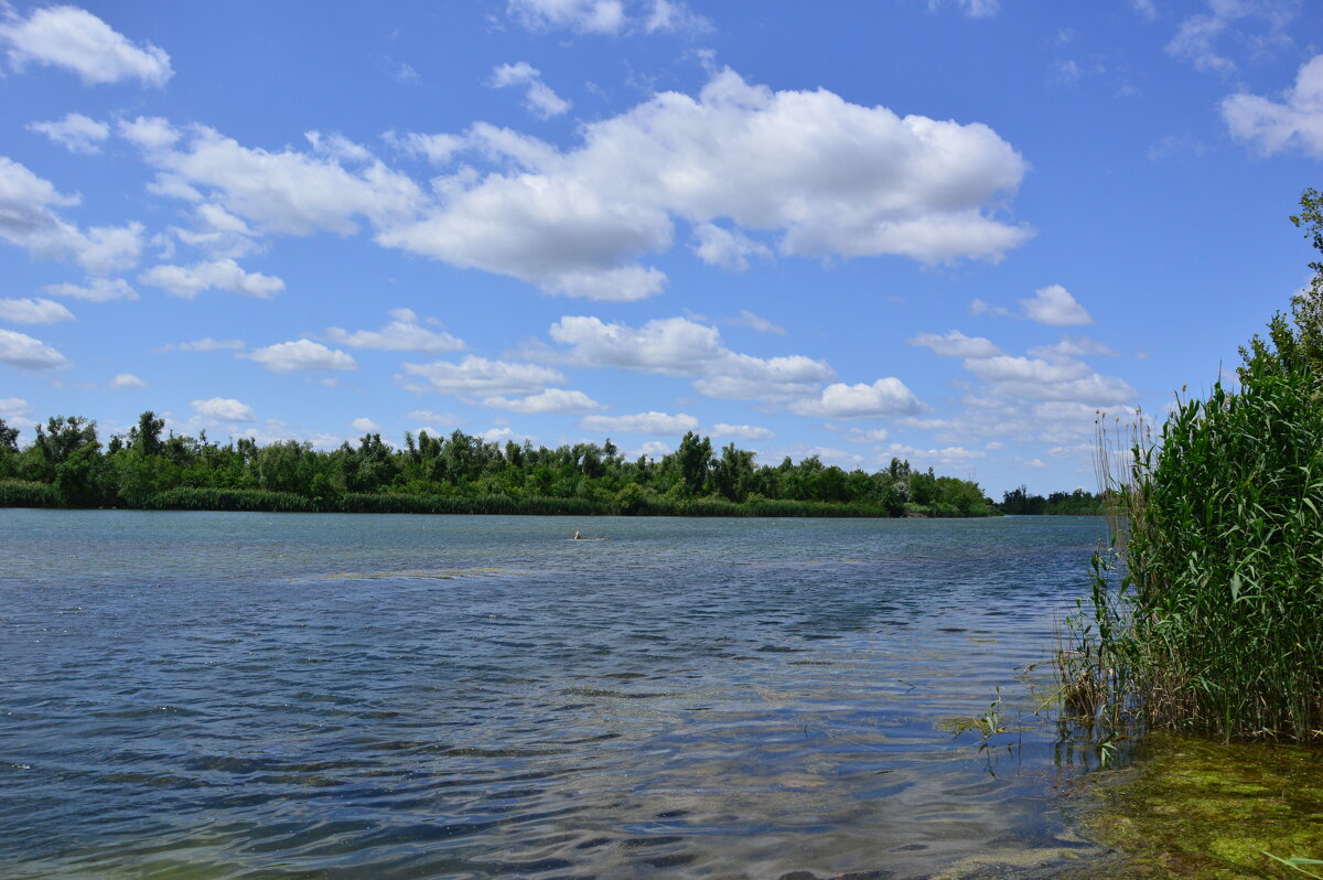 Местная река. - Виктор 