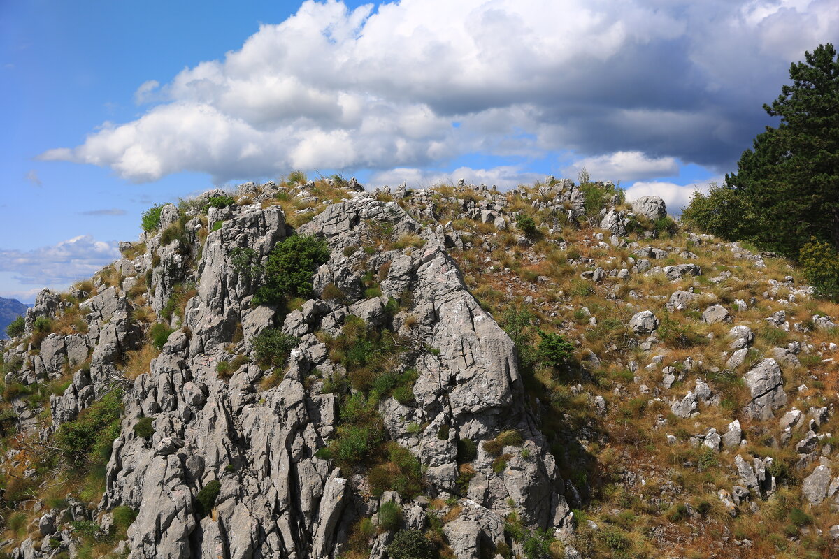 * - Евгений +