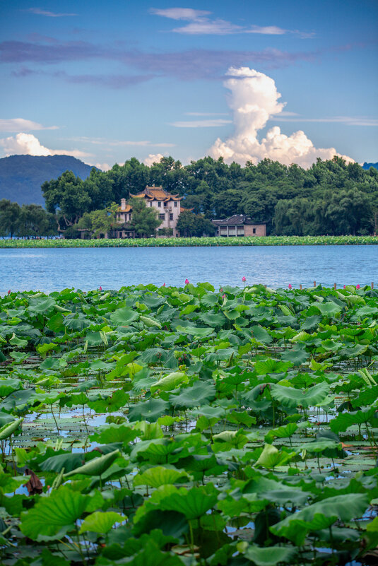 Озеро Сиху в Ханчжоу - Дмитрий 