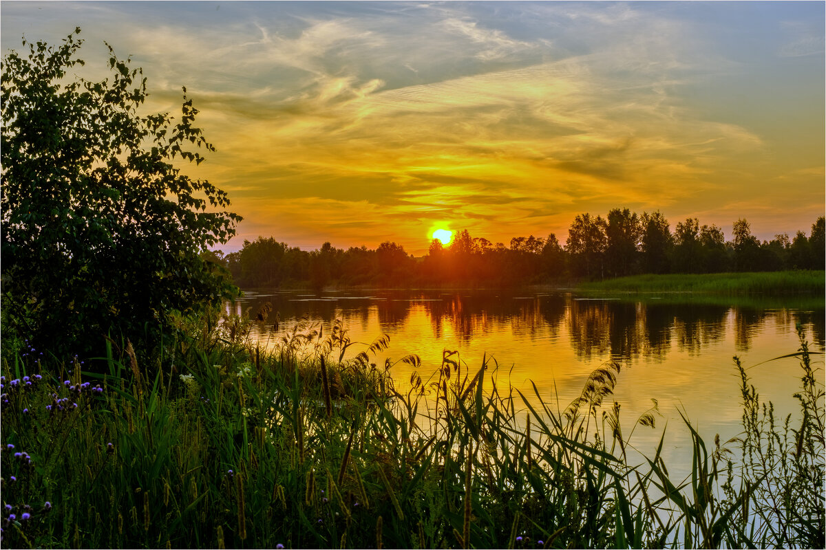 *** - Алексей Мезенцев