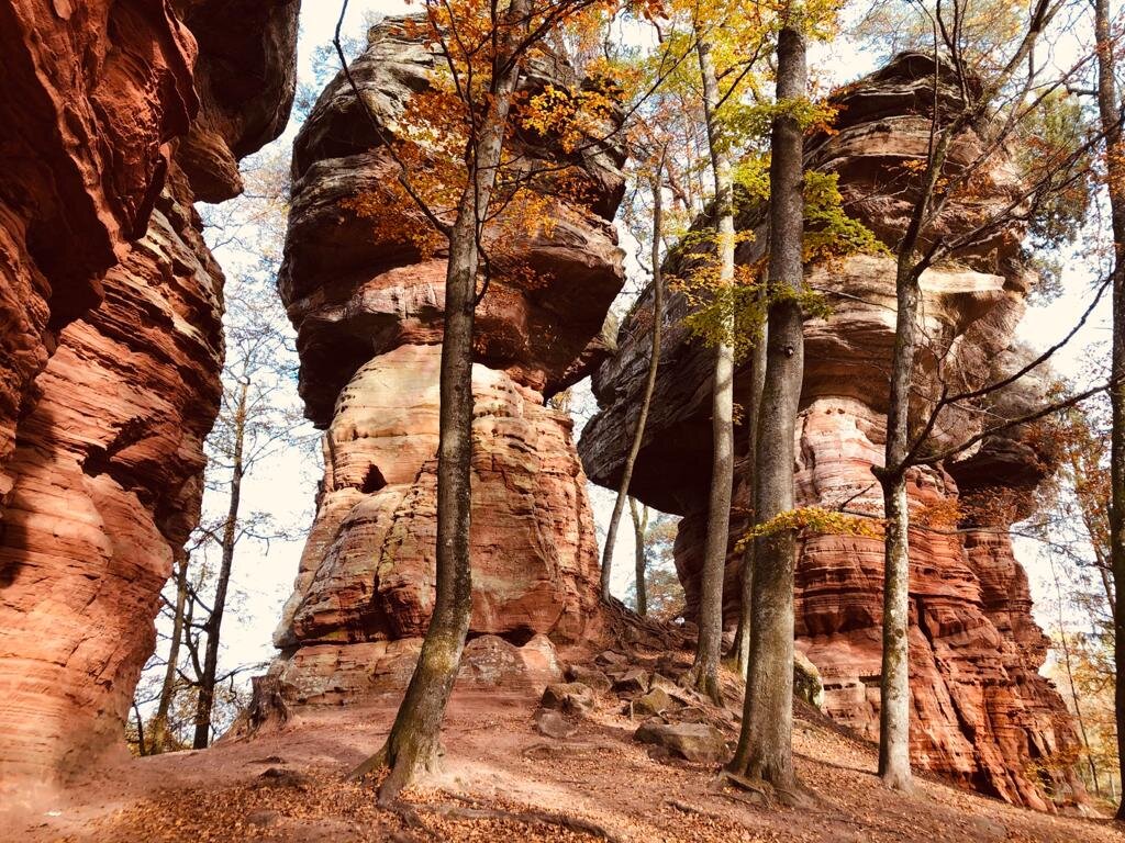 Пфальц, Германия - А  И М