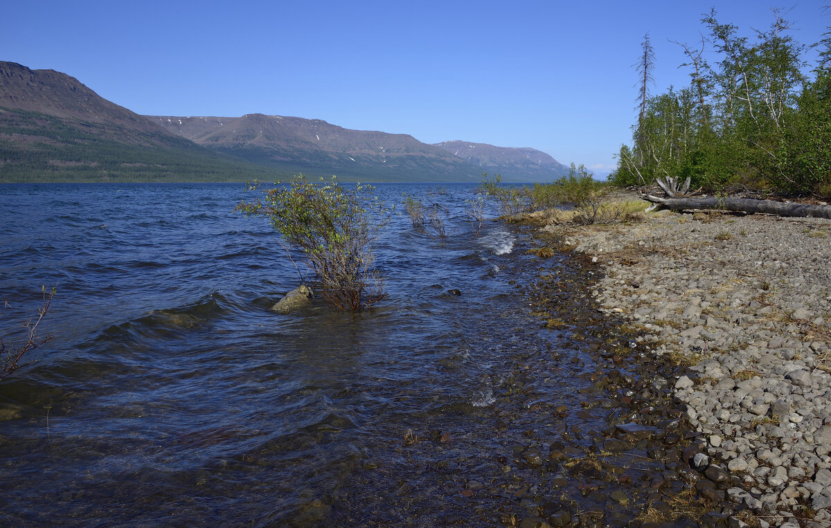 *** - Александр Хаецкий