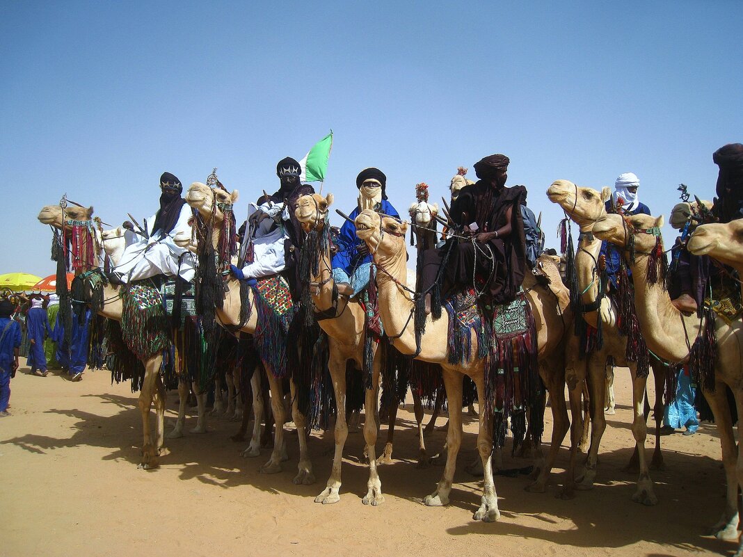 Верблюжья кавалерия! - unix (Илья Утропов)