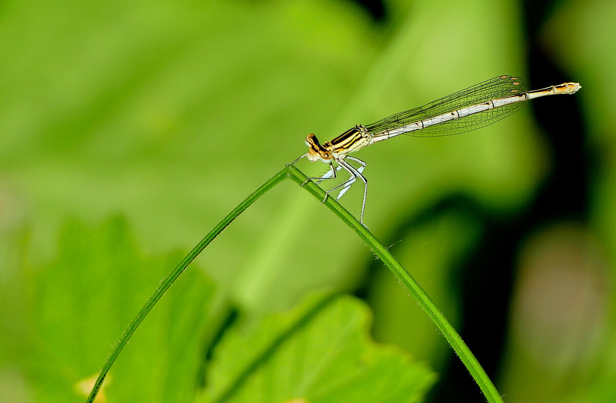 из снятого сегодня 6 - Александр Прокудин