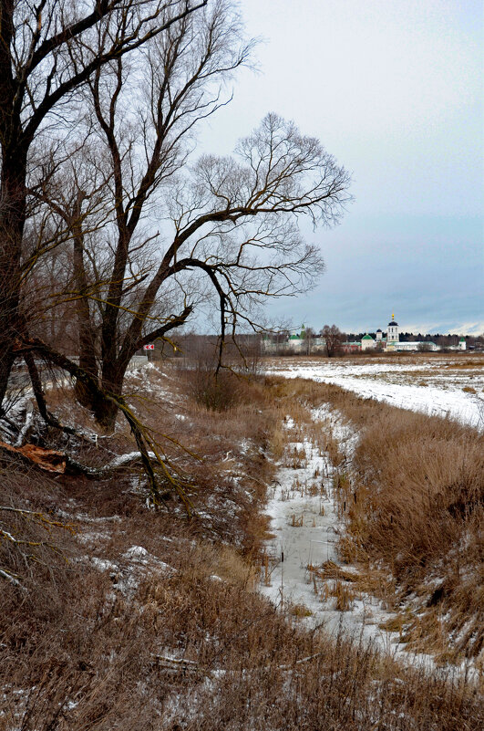 Николо-Пешношский мужской монастырь (1361) - Oleg4618 Шутченко