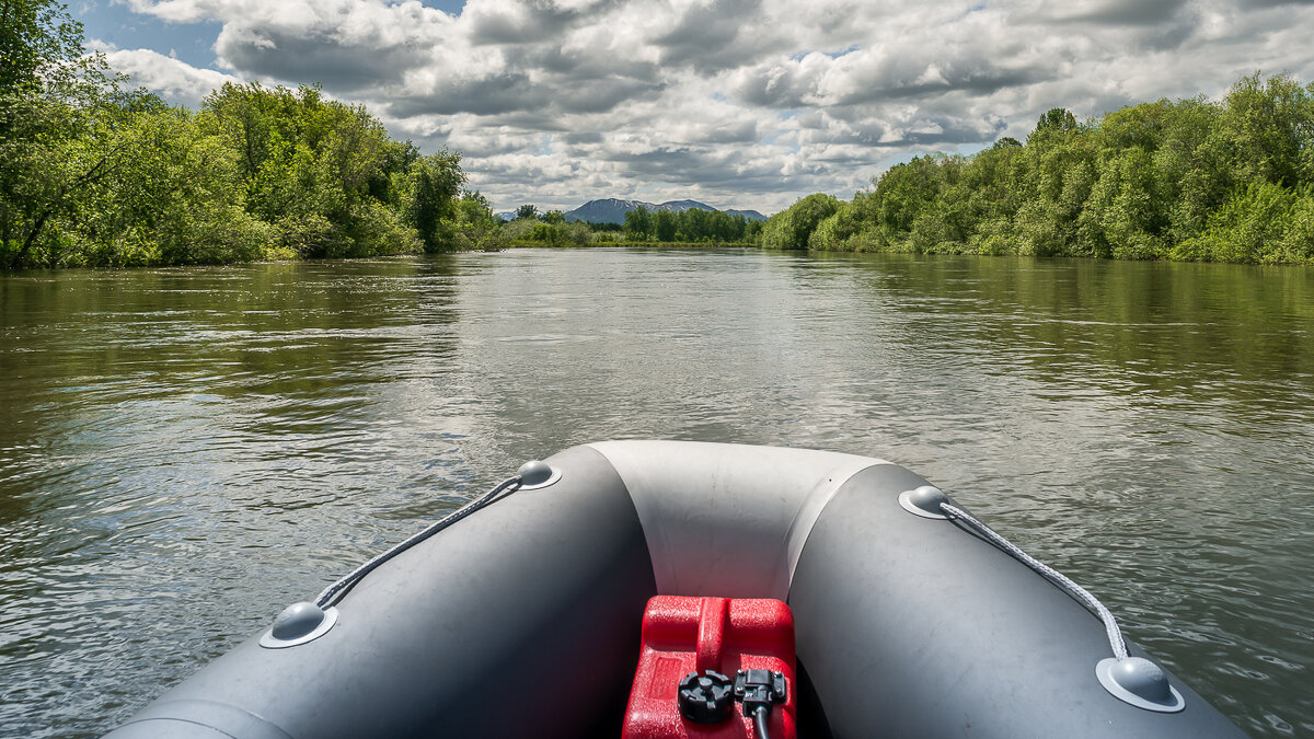 ... - Жора Житников ... - Жора Житников