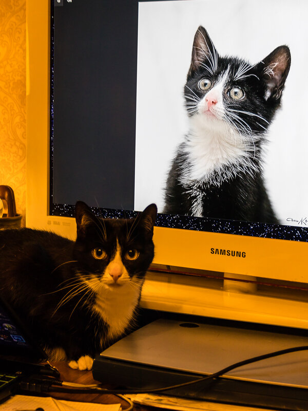 Десять лет спустя ... - Игорь Викторов