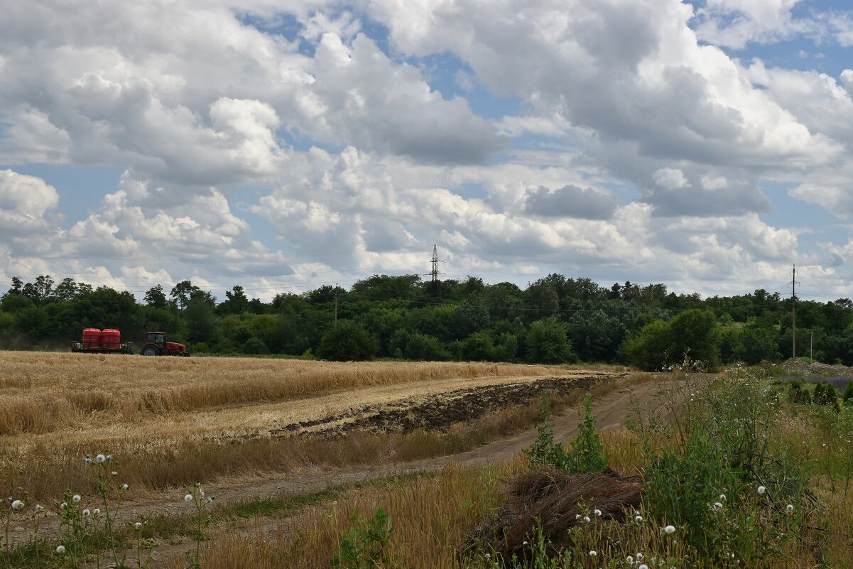 Дорога вдоль поля - Александр 