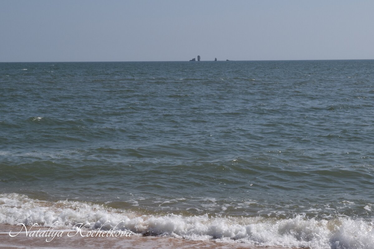 Природа Крыма - Amazing Cosmea