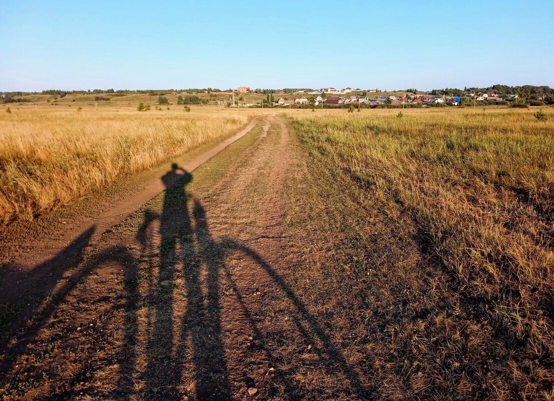С Днём Фотографа!  :) - Елена Хайдукова  ( Elena Fly )