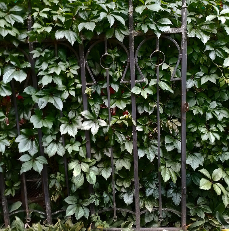 *** - Валентина Береснева