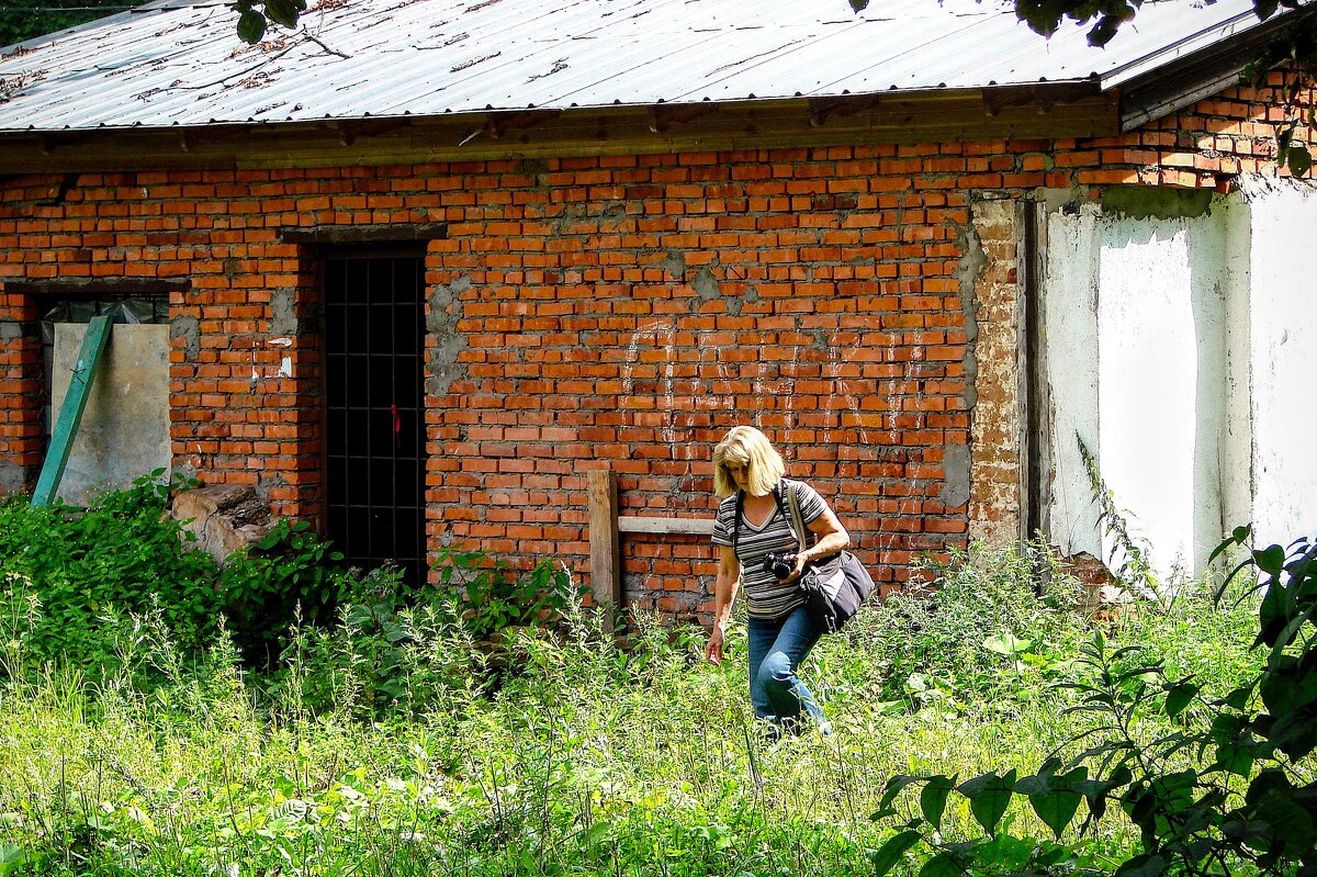 С Днём фотографа , друзья ! - Анатолий Колосов