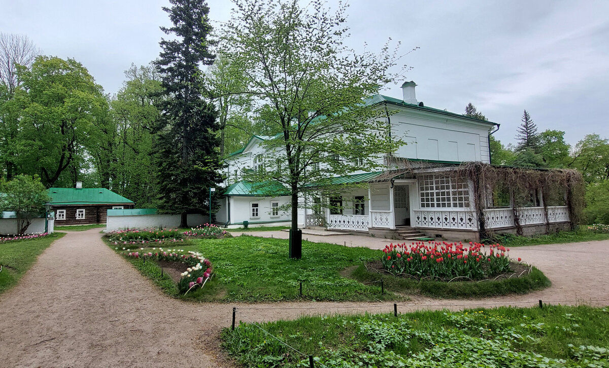 Новый Поклонный вяз. - ИРЭН@ .