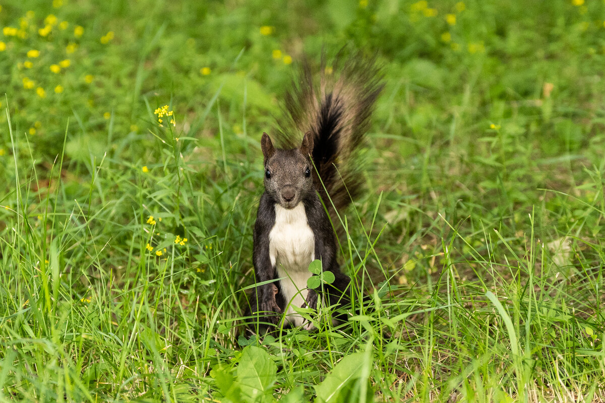 4 - Сергей Флетчер
