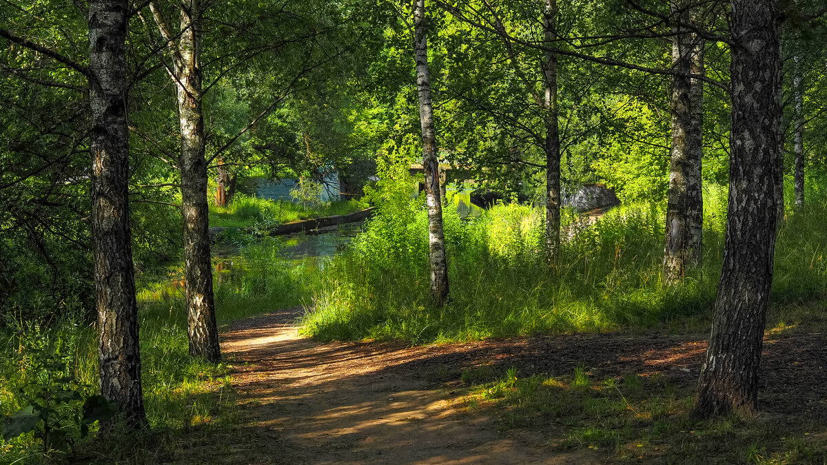 ***** - юрий поляков