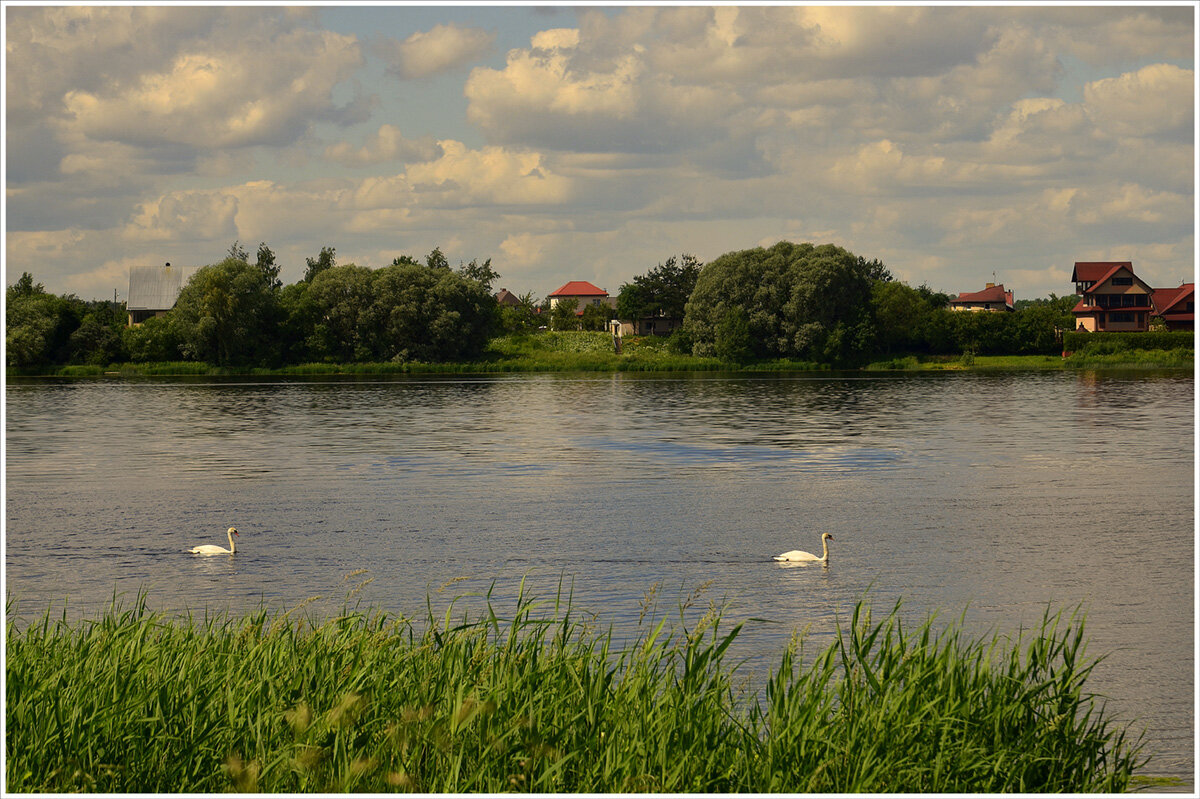 Лето - Aleksandr Gal Лето - Aleksandr Gal