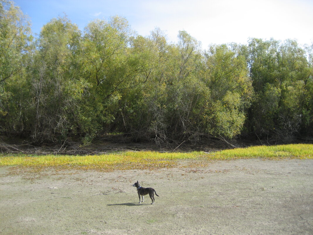 Осень - Anna Ivanova