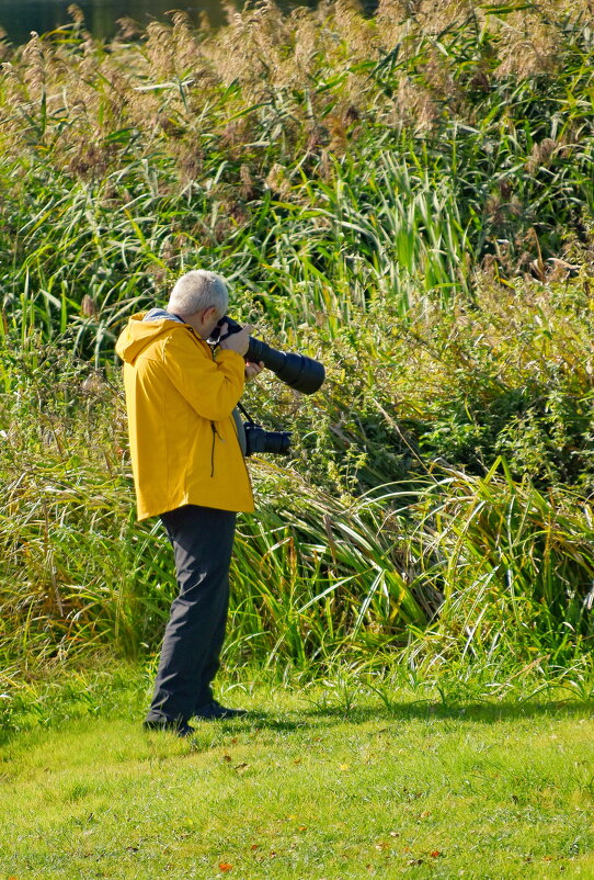 Поймать фотографа. - Sergey (Apg)