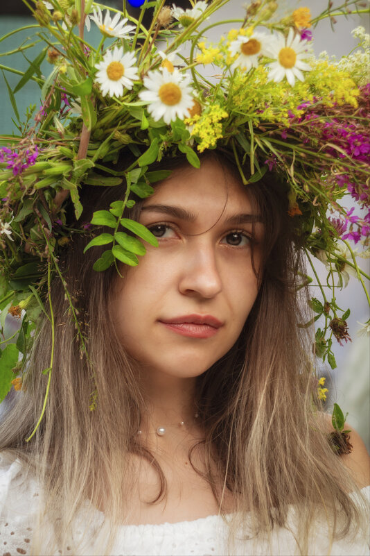 Ромашковое волшебство - Николай Мокшин Ромашковое волшебство - Николай Мокшин